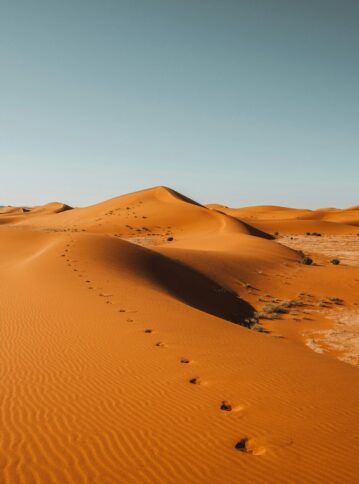 desert-2